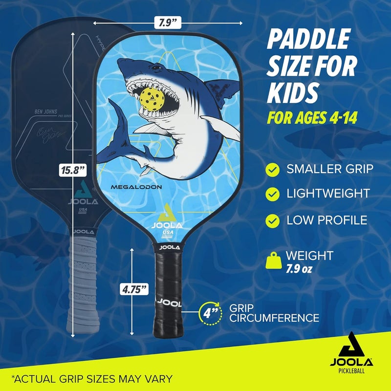 JOOLA مضرب بيكلبول - سطح من الألياف الزجاجية المعززة، نواة من البولي بروبيلين على شكل خلية نحل، مضارب معتمدة من USAP، مضرب بيكلبول متين وسهل الاستخدام للمبتدئين مع قبضة مريحة، ألوان متعددة - Image 2